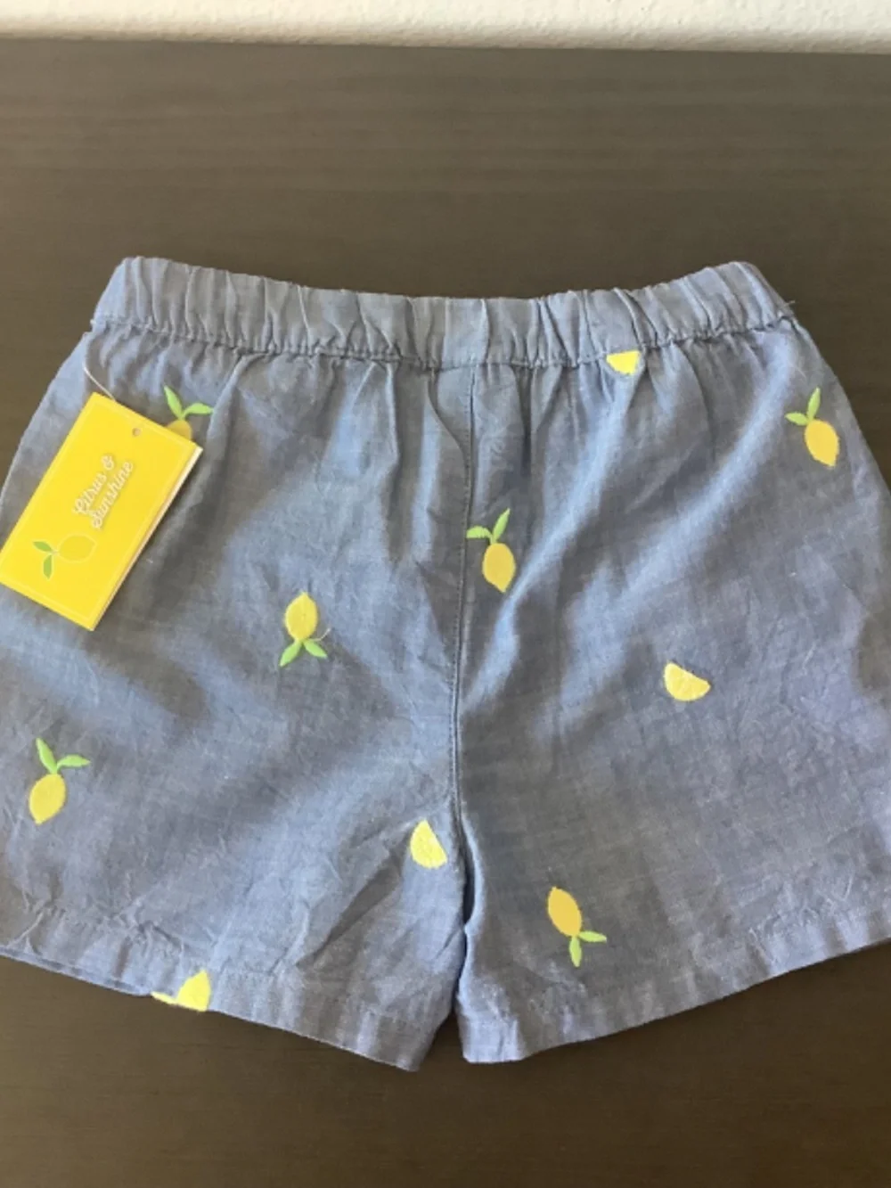NWT Gymboree Girls Chambray Citrus Halter Top And Shorts Blue Denim Set 3T & 5T